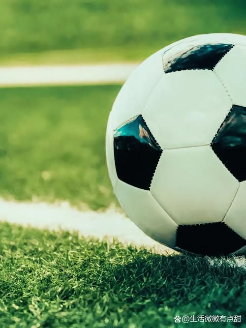 足球预测分析专家平台界面展示